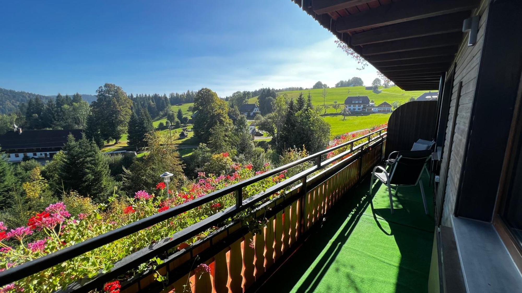 Boutique Hotel And Apartments Pension Sternen Todtmoos Kültér fotó