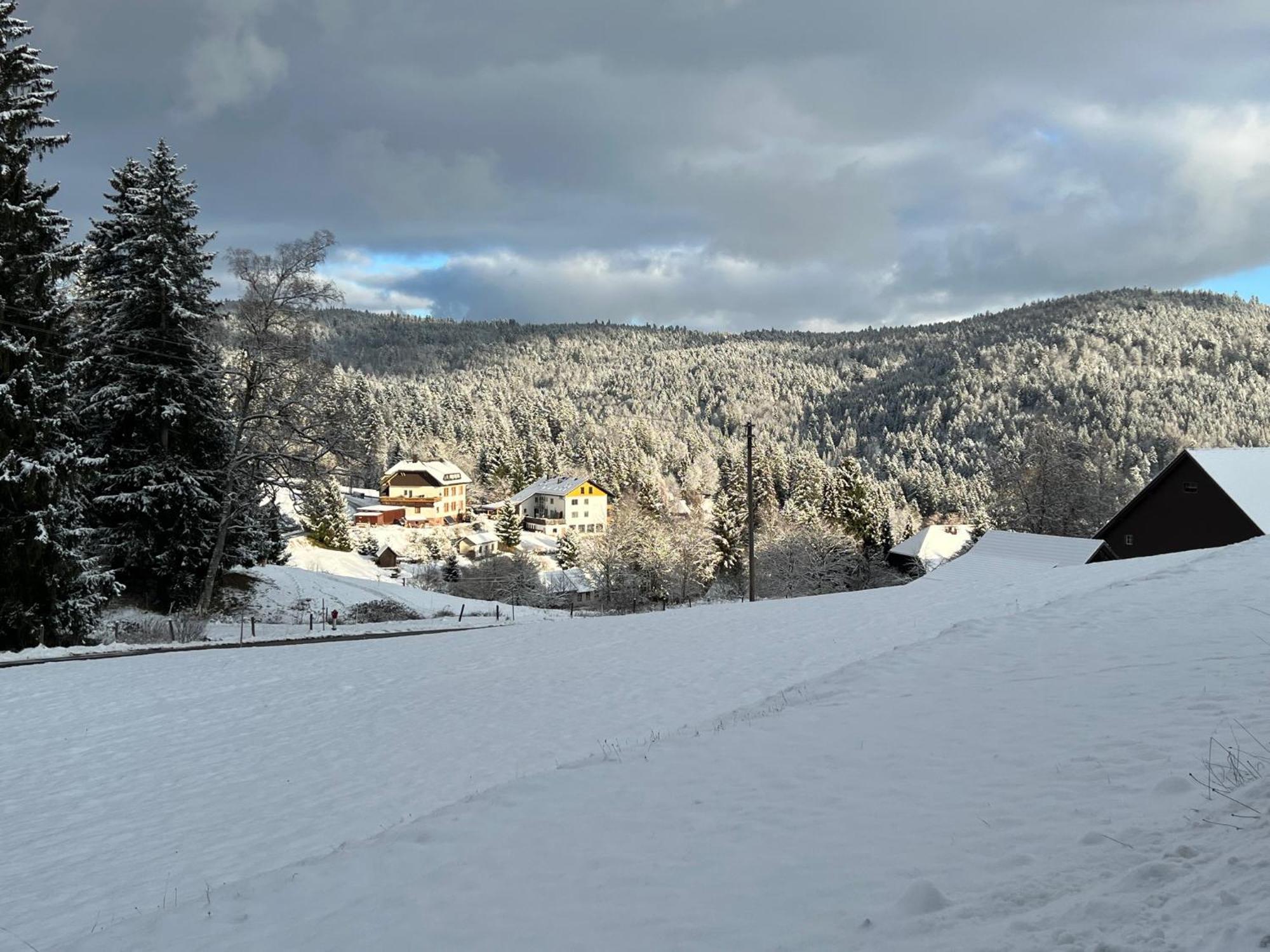 Boutique Hotel And Apartments Pension Sternen Todtmoos Kültér fotó