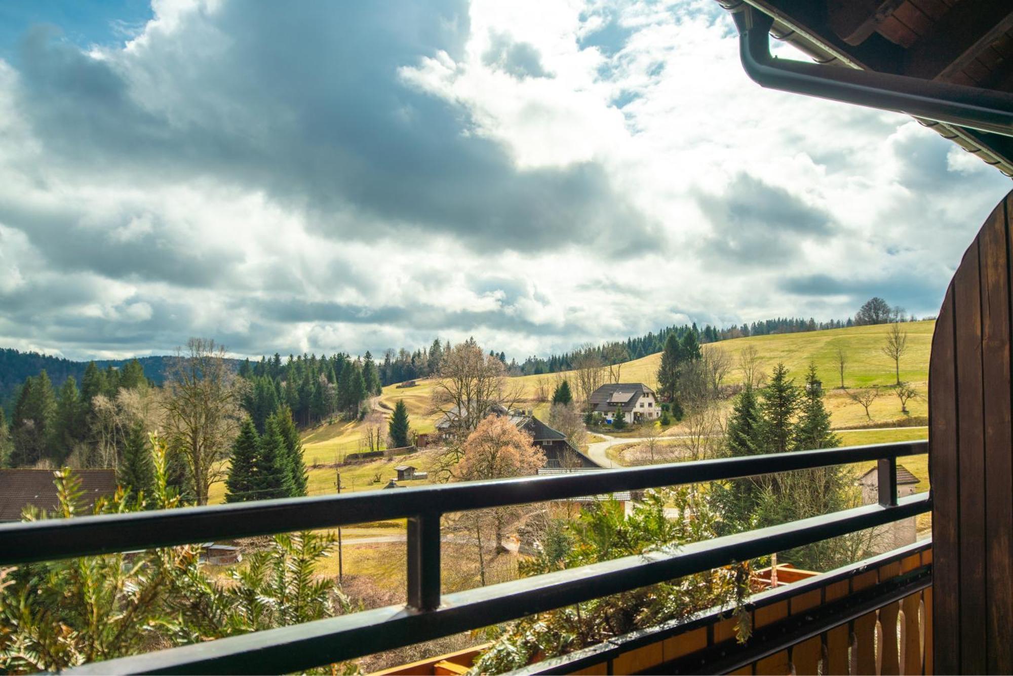 Boutique Hotel And Apartments Pension Sternen Todtmoos Kültér fotó