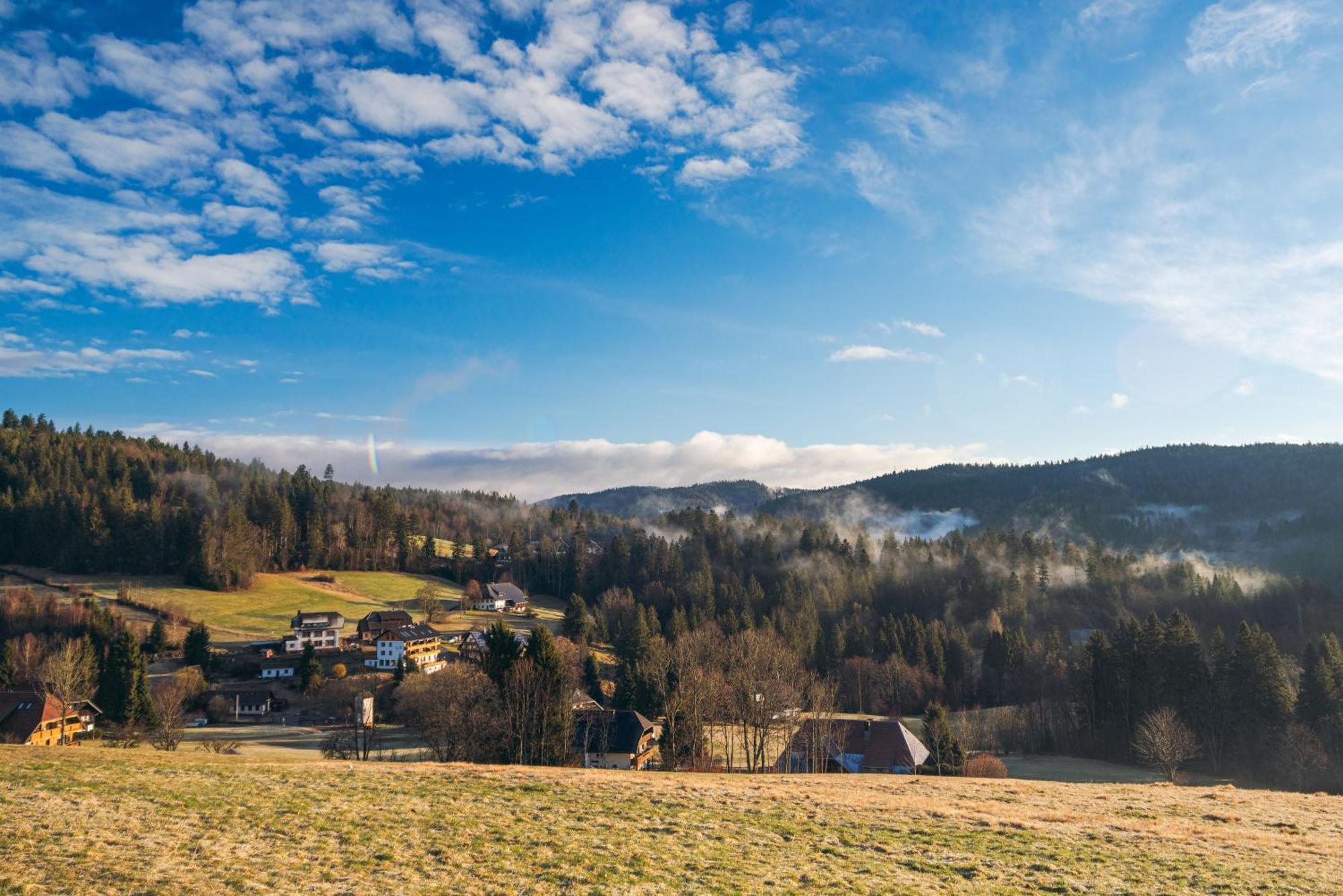 Boutique Hotel And Apartments Pension Sternen Todtmoos Kültér fotó